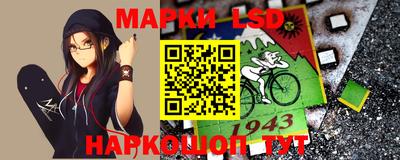 дмт Камышлов