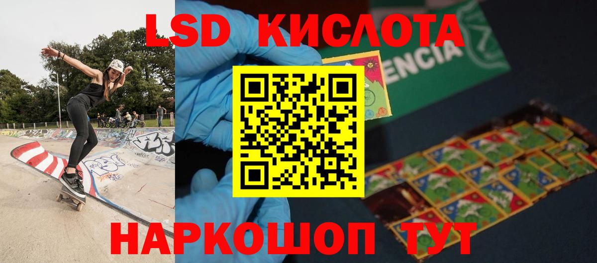 Галлюциногенные грибы Кострома